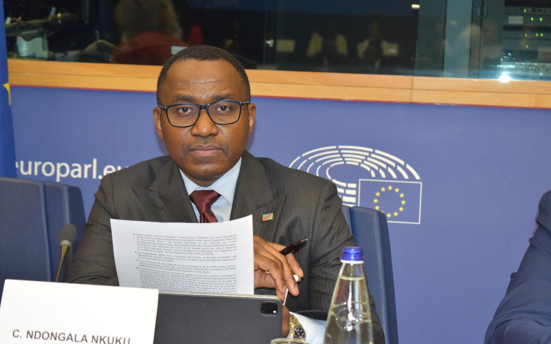 Face à l’agression rwandaise, la RDC attend une réponse européenne cohérente, courageuse et fidèle à ses valeurs